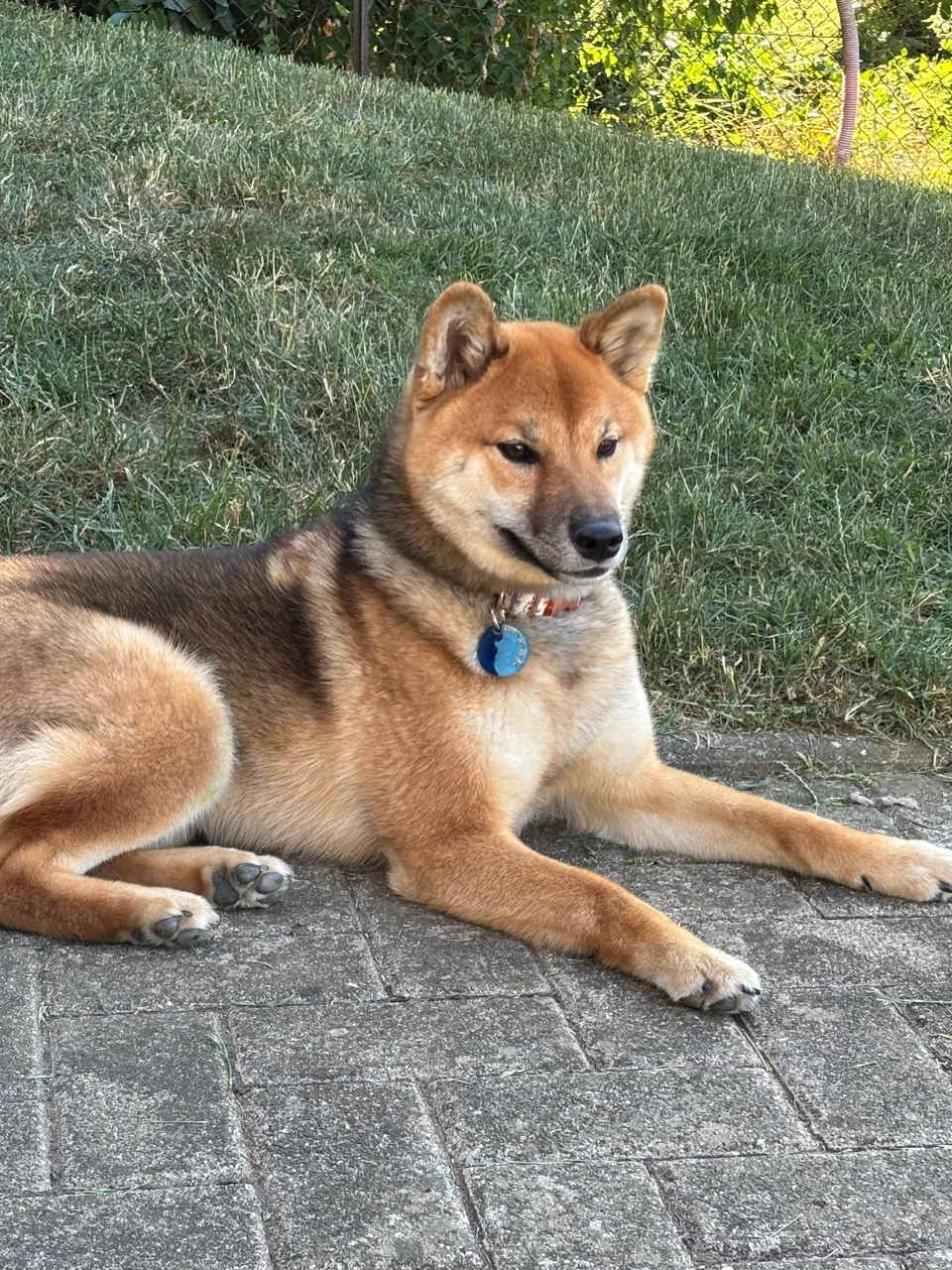 Azumi Shiro