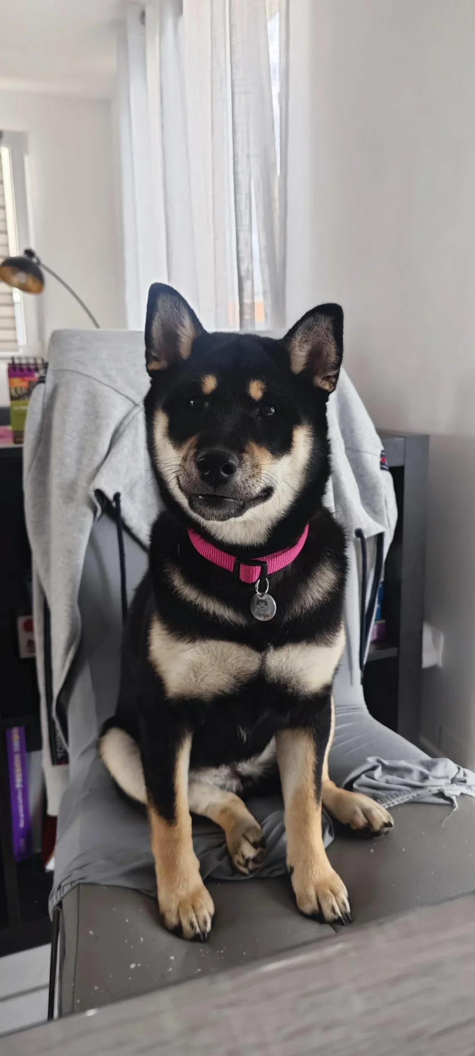 Arya