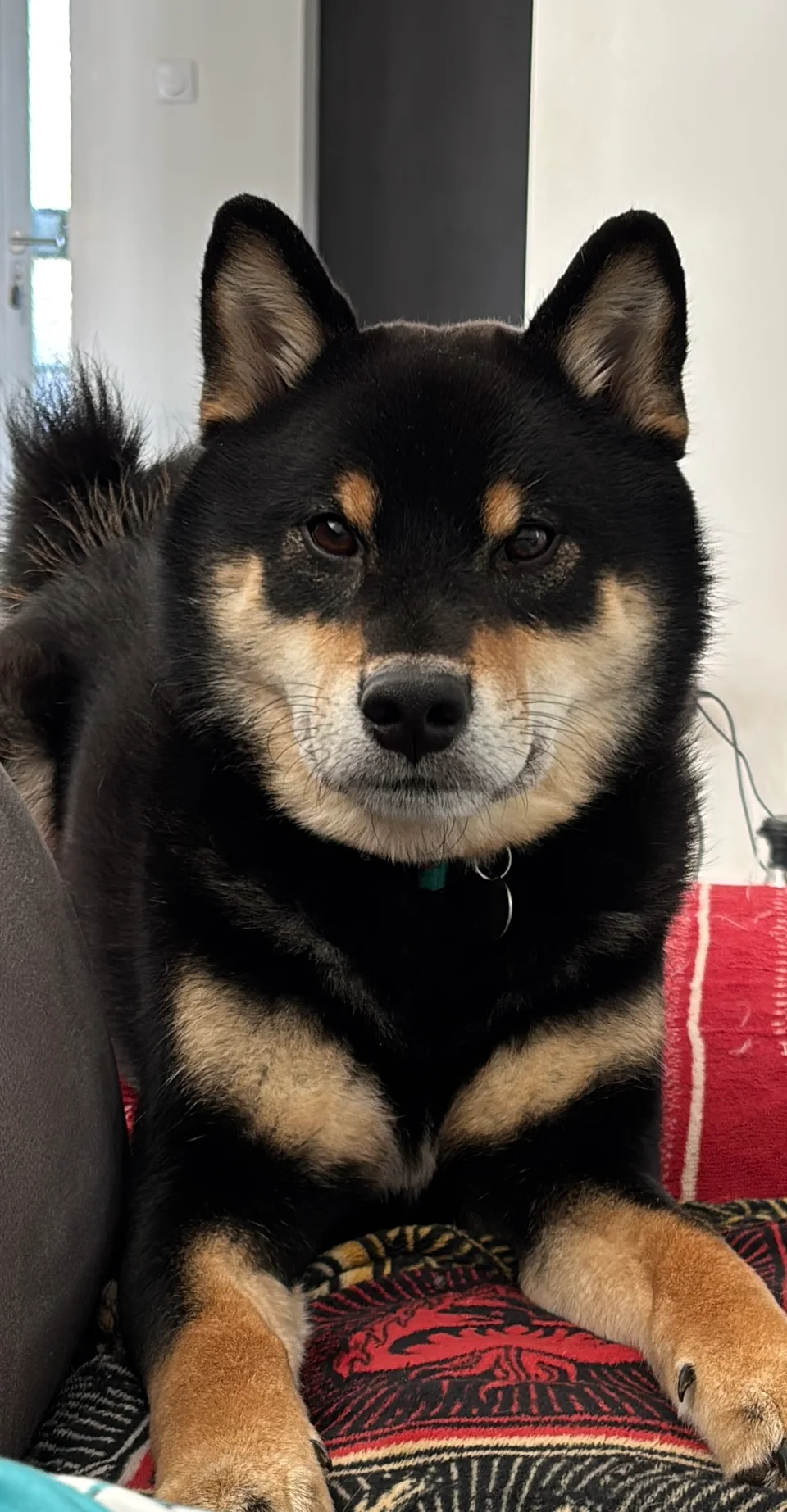 Ushiro