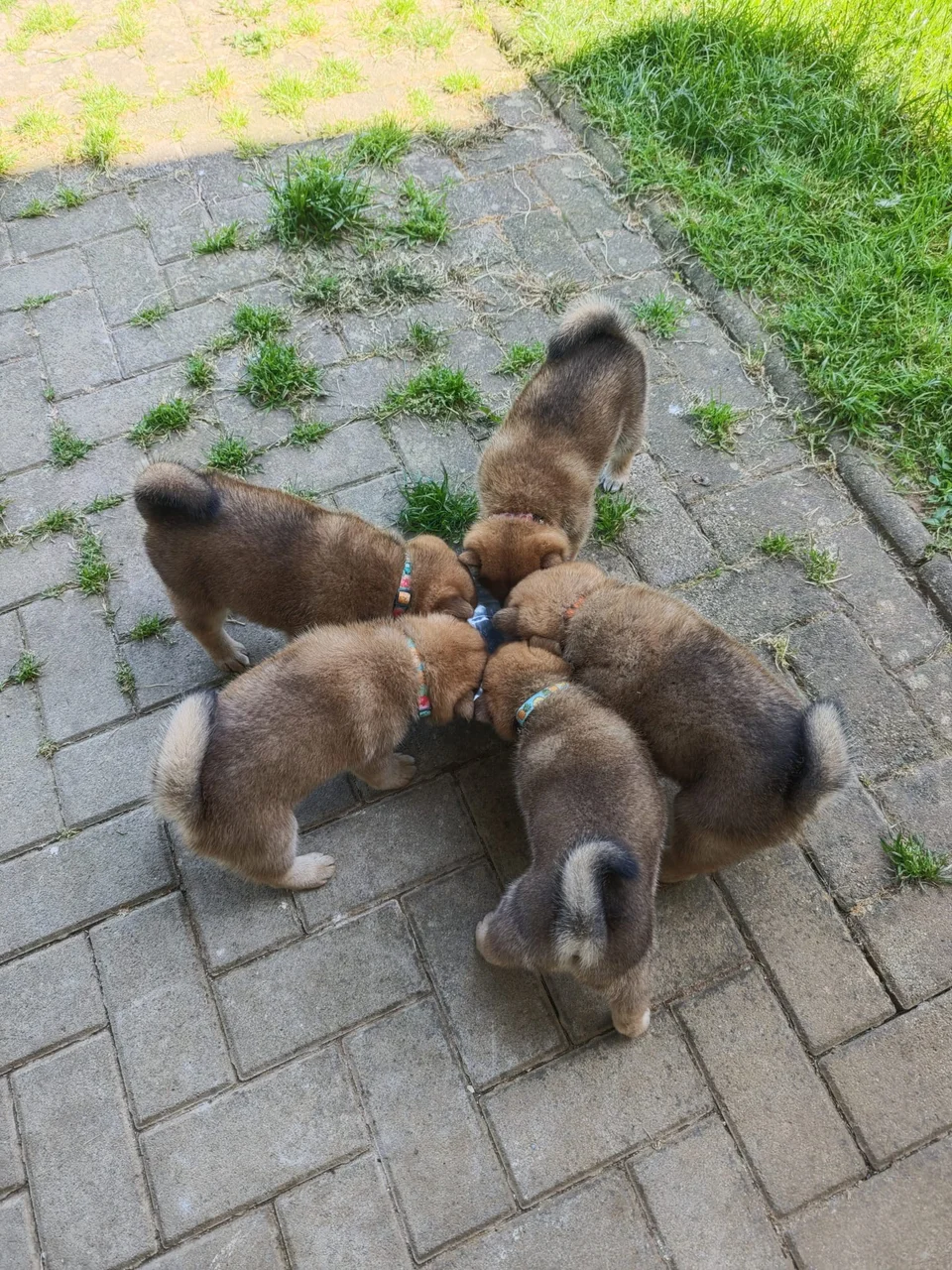 Déjeuner en terrasse