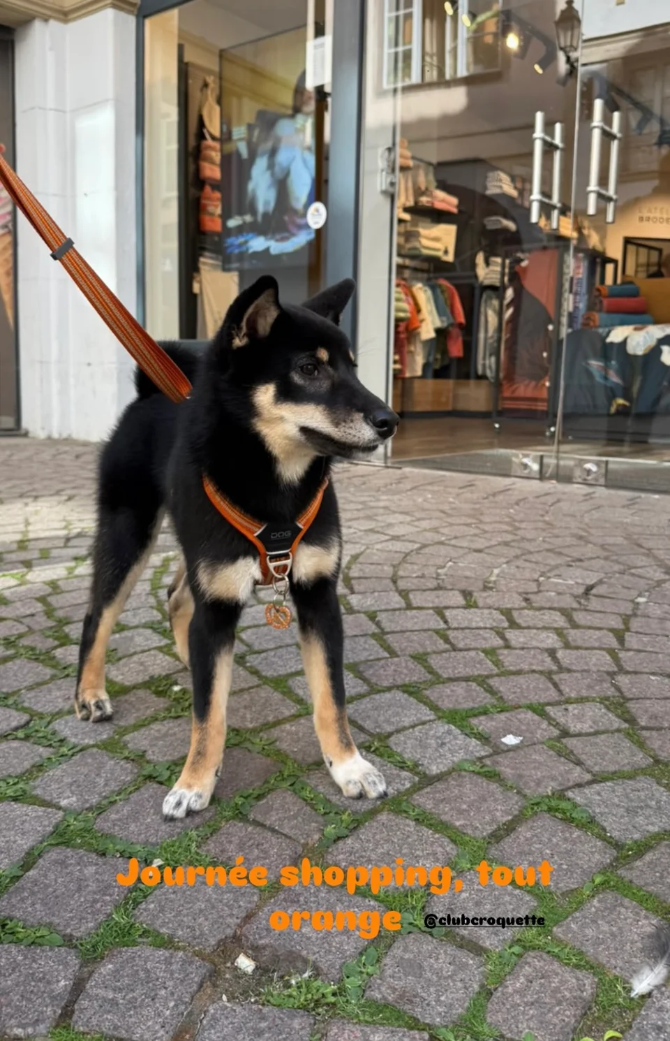 Nami à Strasbourg