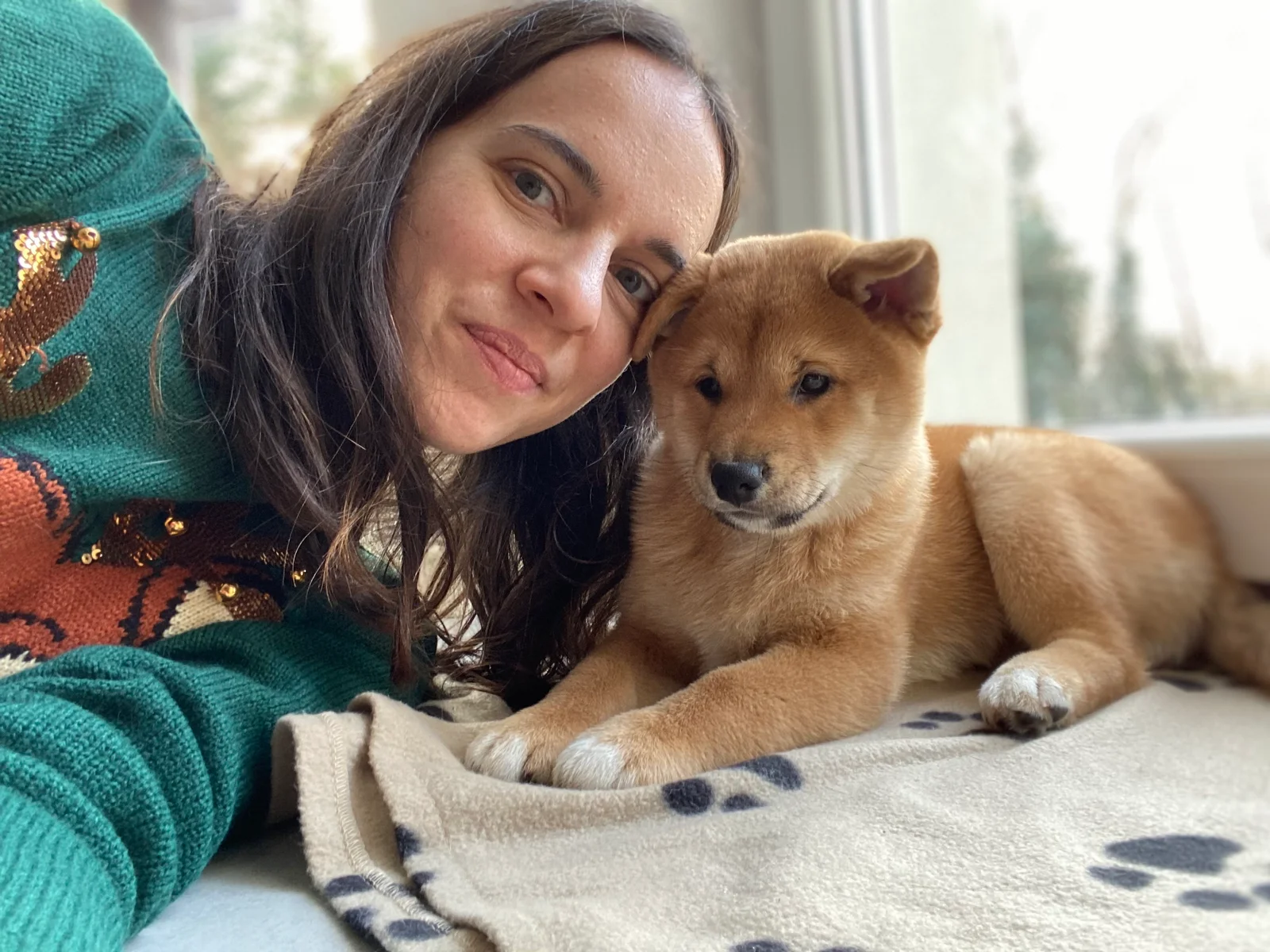 Jikan’s Shadow, élevage familial de Shiba Inu