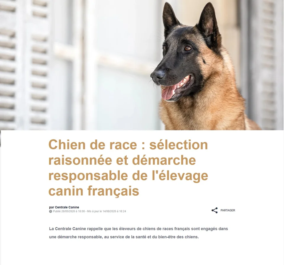 Comprendre le chien familial