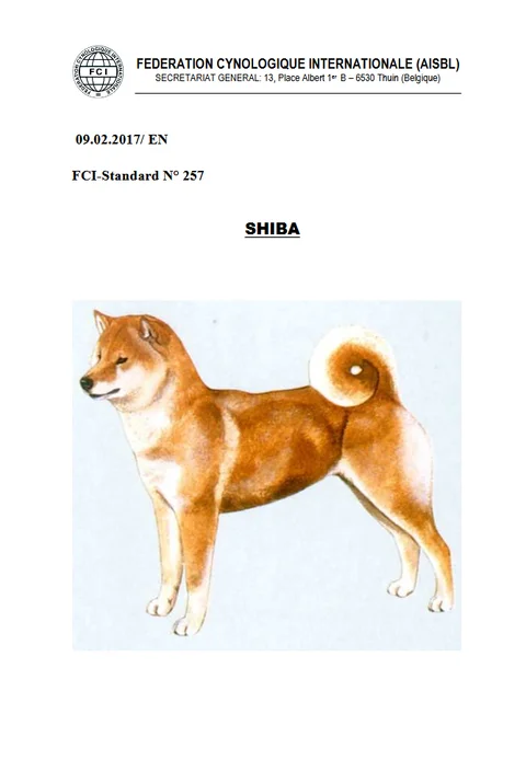 Le standard du Shiba Inu